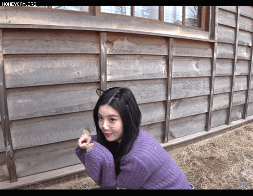 고양이 분장 권은비  은비냥