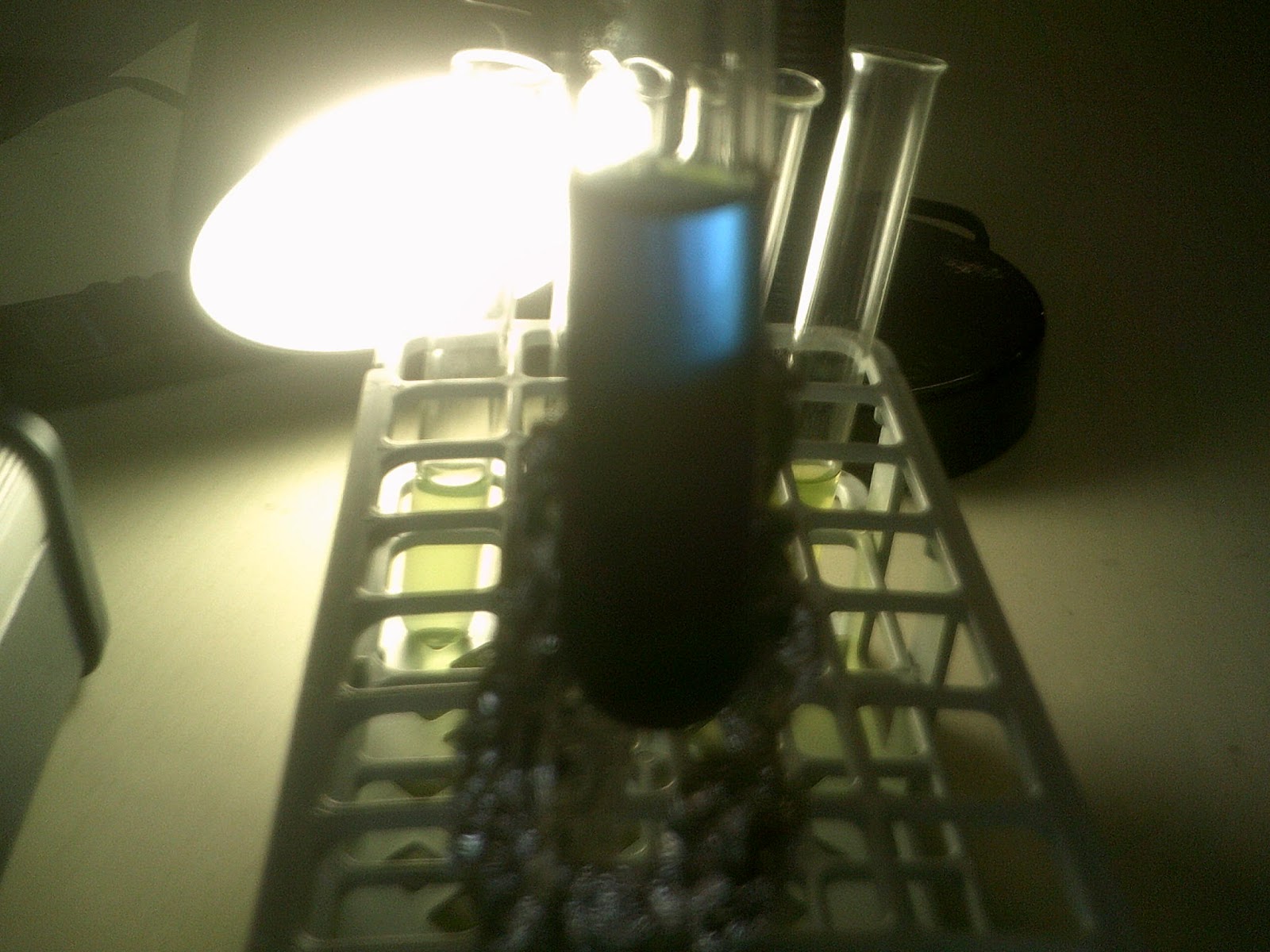 wigton physics The Hill Reaction