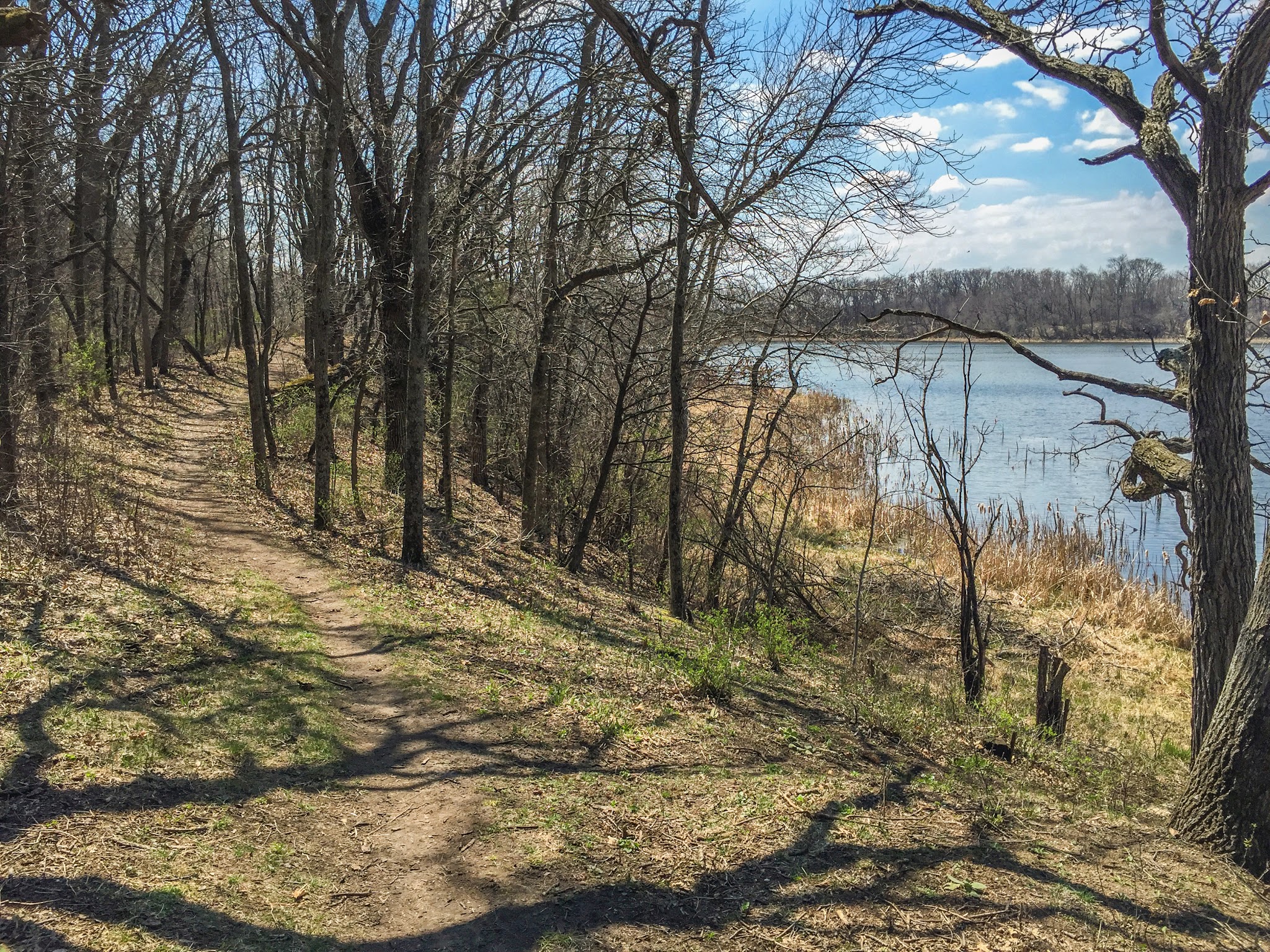 Along the Storrs Lake Segment of the Ice Age Trail