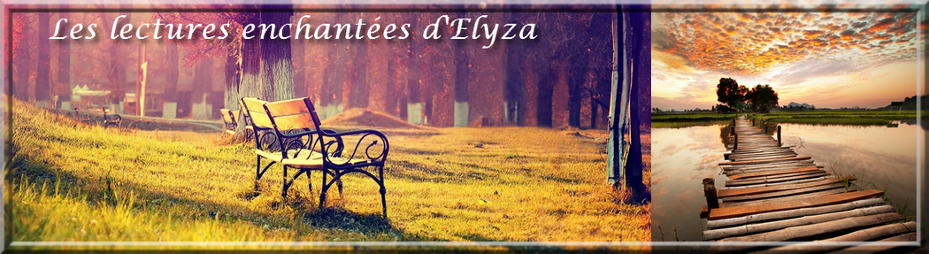 Les lectures enchantées d'Elyza