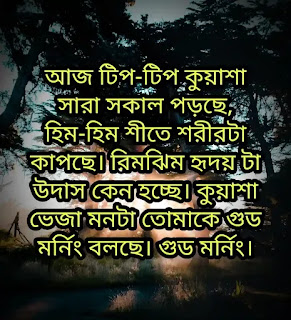 GOOD MORNING BANGLA SMS (শুভ সকাল মেসেজ) Bengali Message