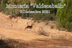 MONTERÍA "VALDECABALLO" 2021