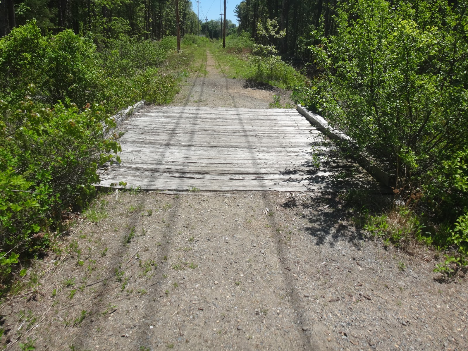 double d mountain runner Weekend Ride on the Groveland, and