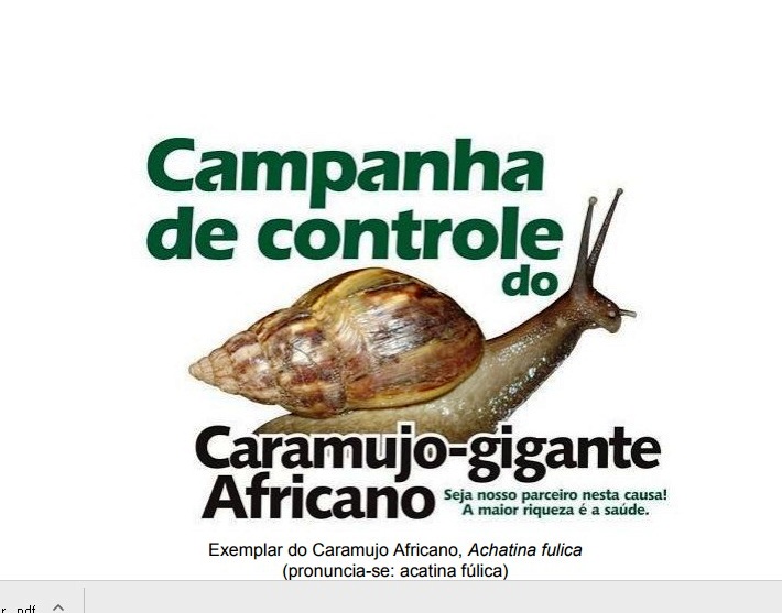 CAMPANHA DE CONTROLE DO CARAMUJO GIGANTE AFRICANO