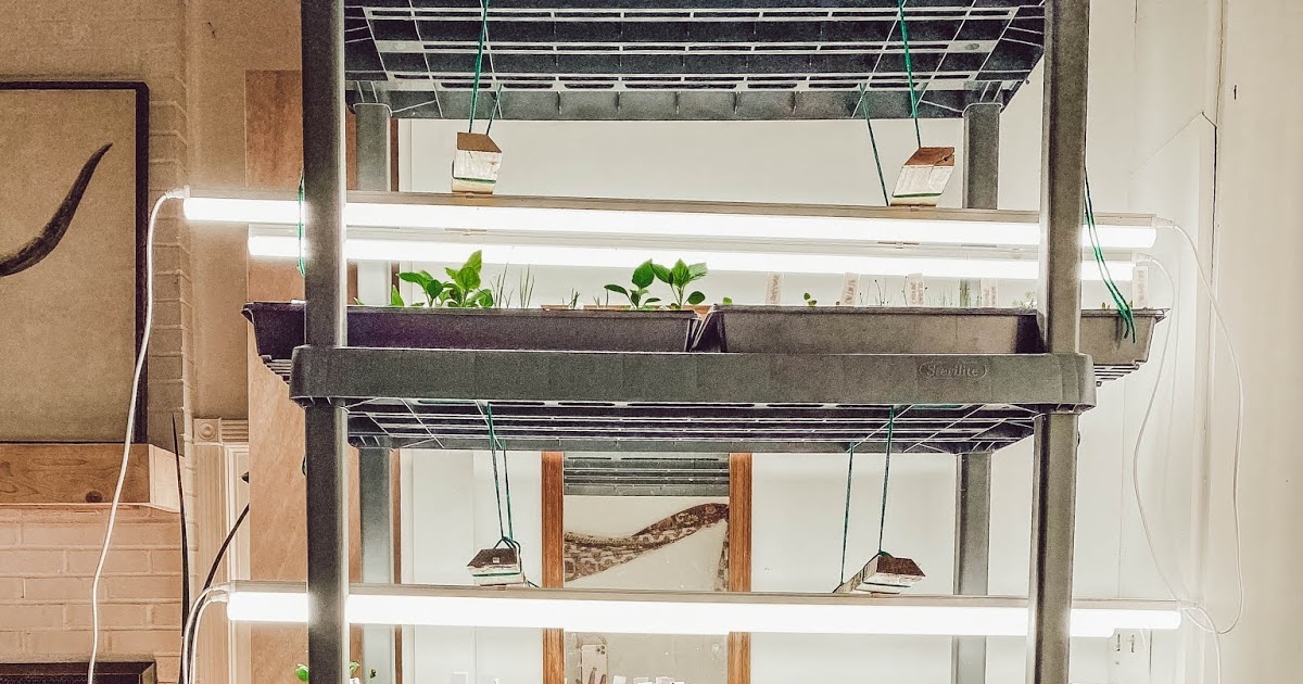 DIY Seed Starting Shelf For Under 100