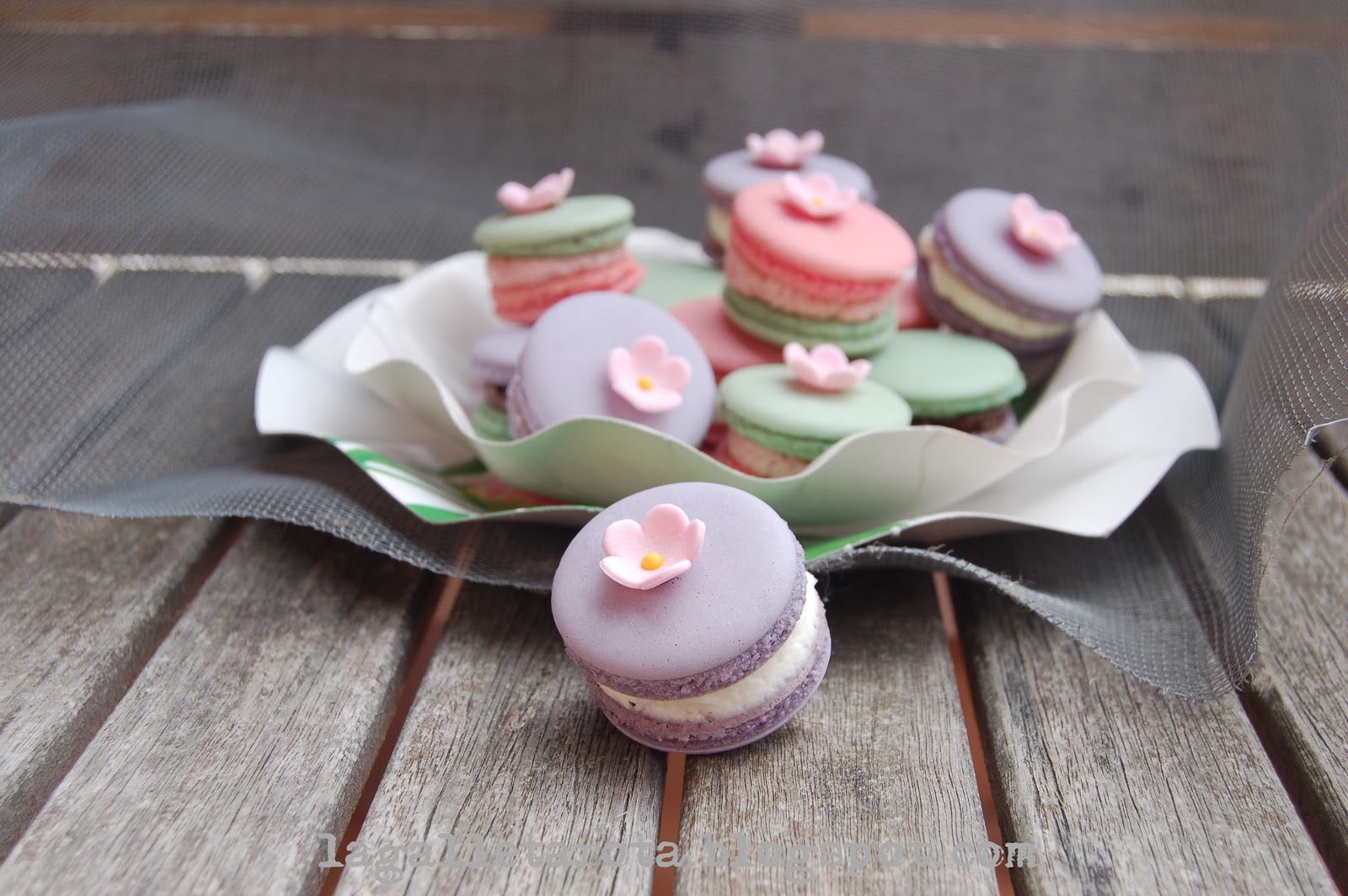 La Galleta Rota: Spring Macarons