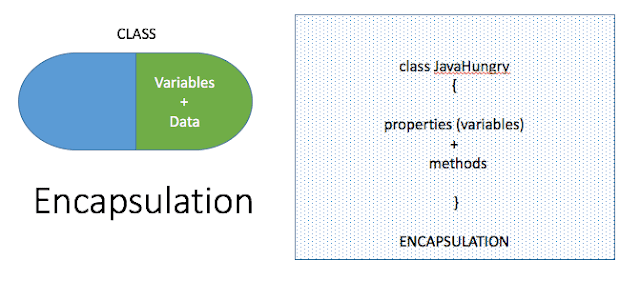 Encapsulation in Java with Examples : OOPs Concept | Java Hungry