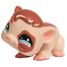 Littlest Pet Shop Large Playset Guinea Pig (#683) Pet