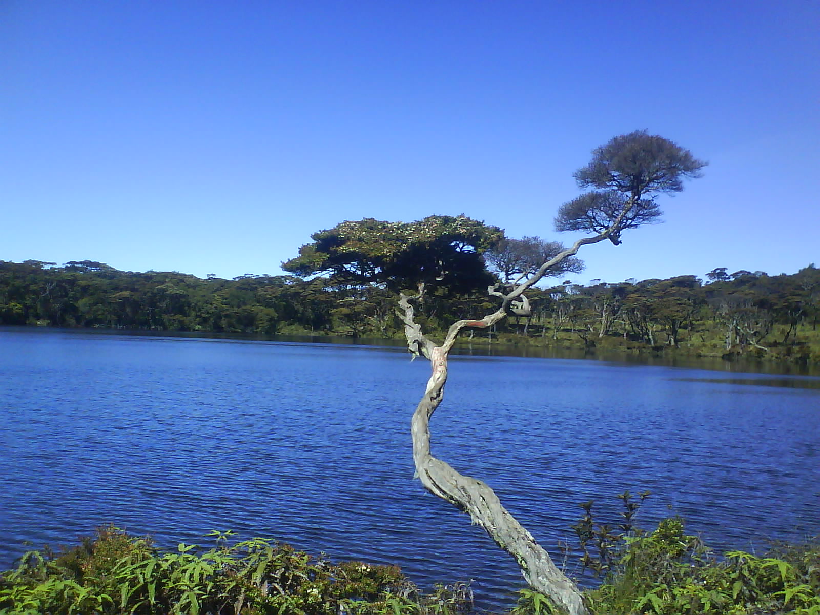 10 Danau di Atas Gunung Paling Angker di Indonesia