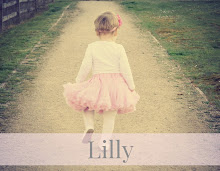 Welcome To Lilly & Me!