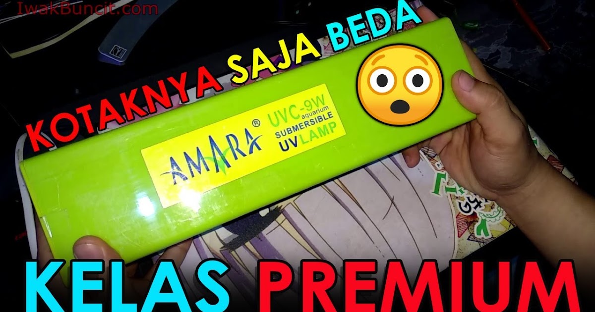 Fungsi Lampu Uv Pada Aquarium - LAMPURABI