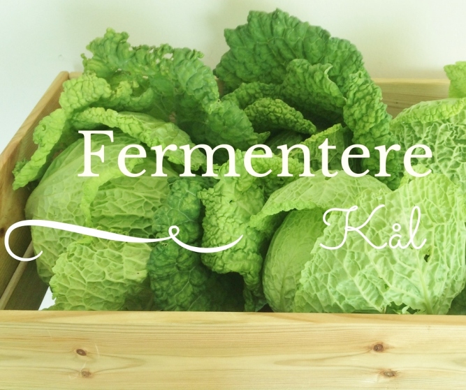 Hvordan fermentere kål