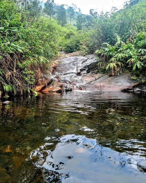 යකාගේ පඩිපෙළක්නේ මේක - ඔබ් 🤔🌱🍃🎋 (Devil's Staircase) - Your Choice Way