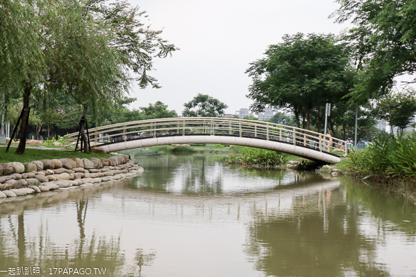 台中北屯|廍子公園|黃花風鈴木|滑板場|巨人腳印公園|綠籬迷宮|生態池|拱橋 台中北屯|廍子公園|黃花風鈴木|滑板場|巨人腳印公園|綠籬迷宮|生態池|拱橋
