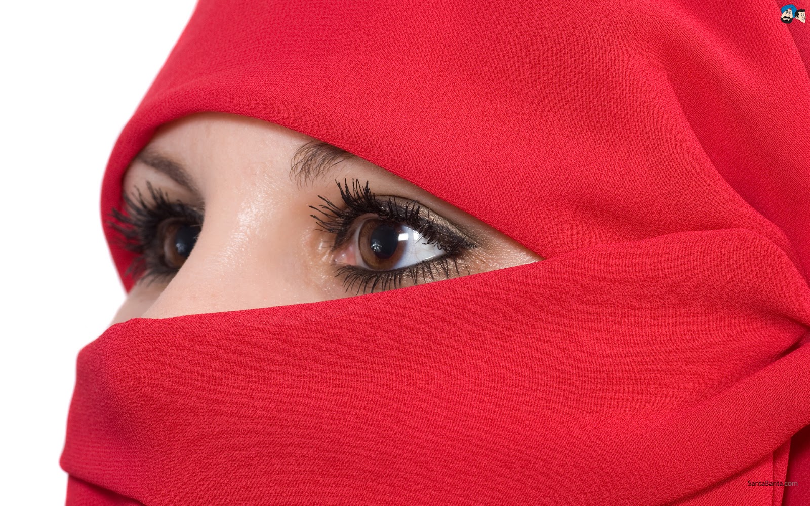 Arab Hijab Images FemaleCelebrity