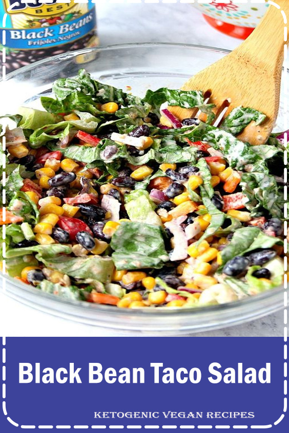 Black Bean Taco Salad Recipes Raina