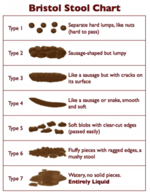 What does it mean if your poop is rust colored The Meaning Of Color