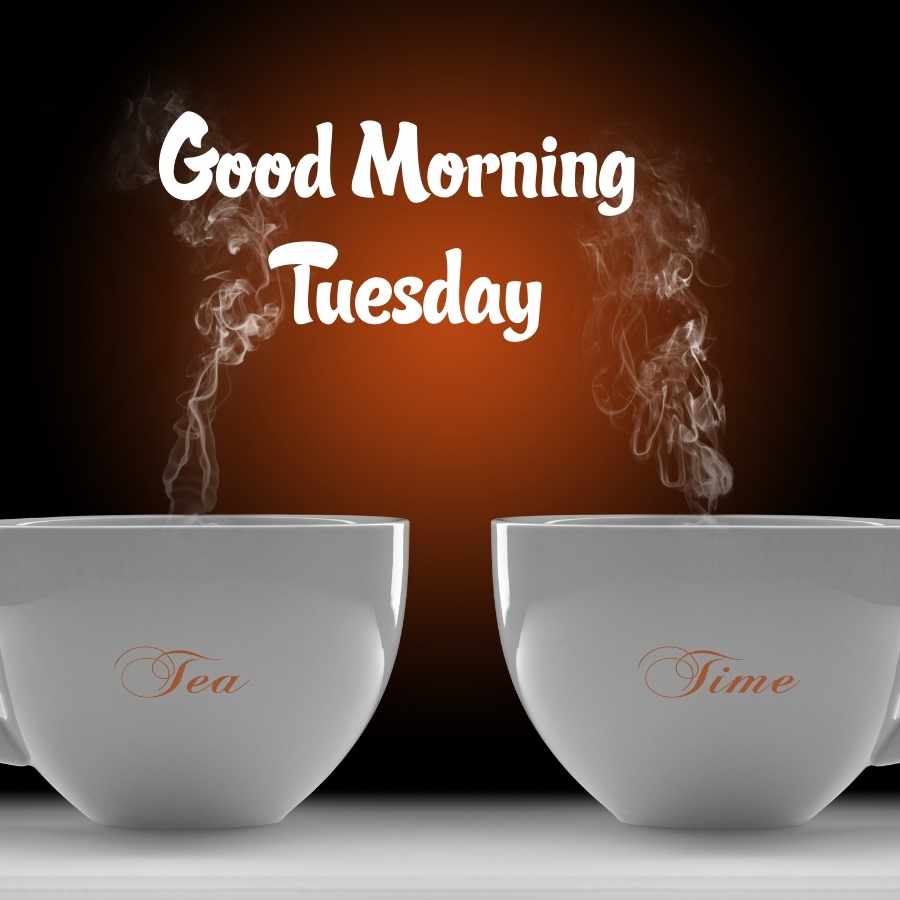 happy tuesday