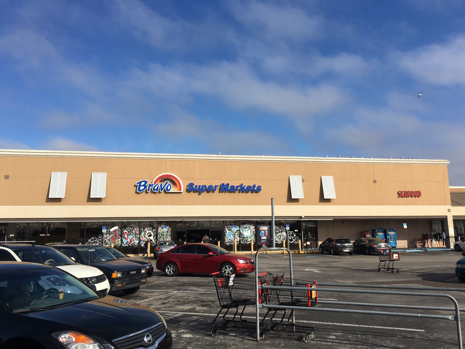 TOUR Bravo 7733 Tampa, FL