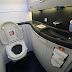 Passenger jet is grounded after foetus is found blocking the toilet ahead of take-off in South Africa
