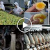 10 Foods Made In China Filled With Pesticides, Plastic And Cancer Causing Chemicals