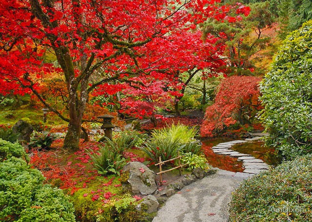 Mirando al mundo con sentimientos: 12 hermosos senderos del mundo