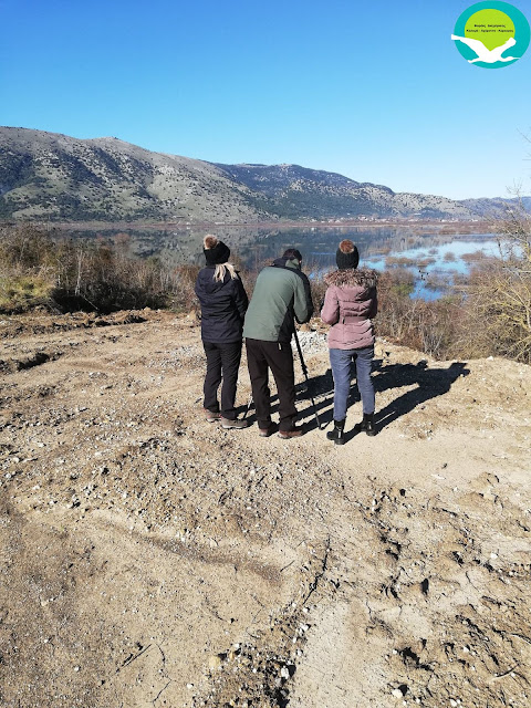 Θεσπρωτία: Πάνω από 40 διαφορετικά είδη στις προστατευόμενες περιοχές της Θεσπρωτίας