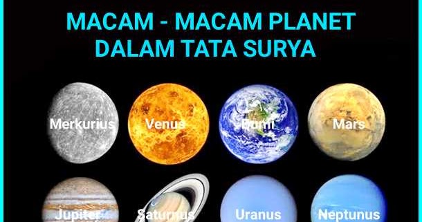 Macam Macam Dan Ciri Ciri Cilacap Klik