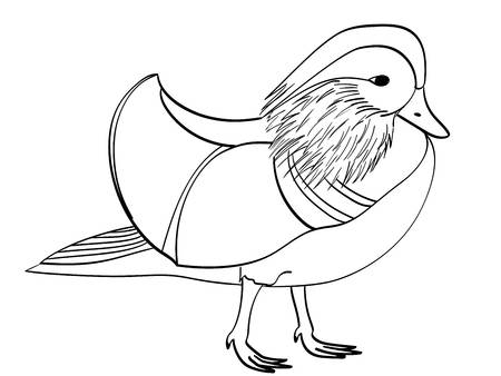 IMAGENES DE ANIMALES EXOTICOS PARA PINTAR Y DECORAR