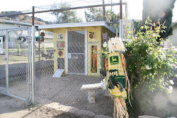 chicken coop bought adorable called sign