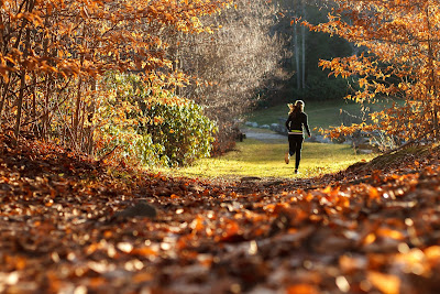 How to Start A Healthy Lifestyle How To Start A Healthy Lifestyle