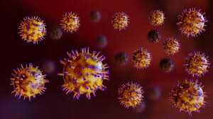 شكل الفيروس التاجي - corona viruses