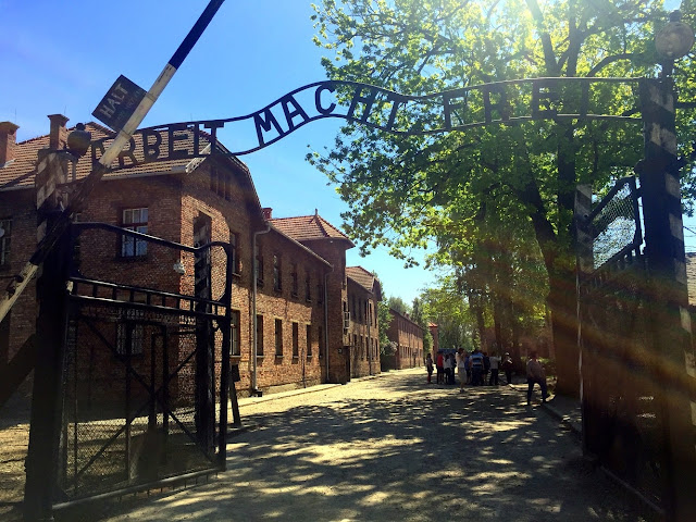 auschwitz birkenau