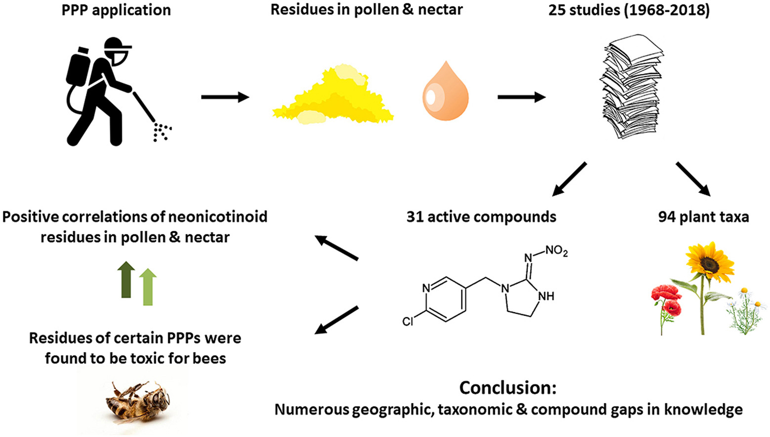 Residues of herbicides, fungicides and insecticides (known as "Plant
