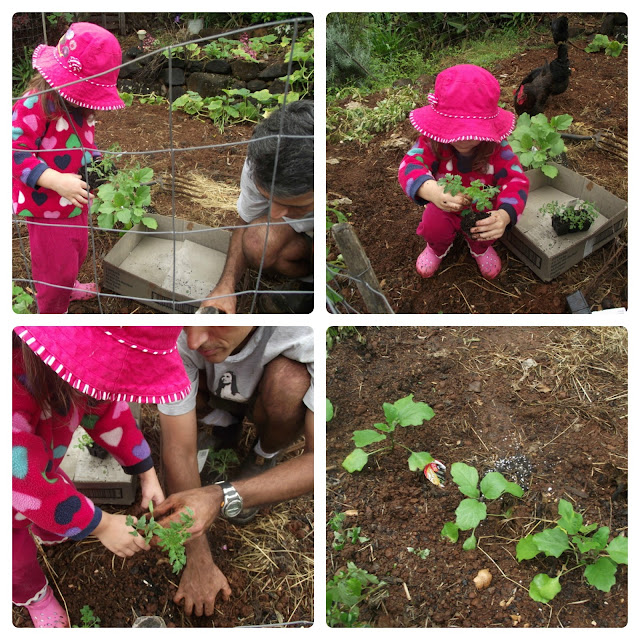 Toddler outside gardening