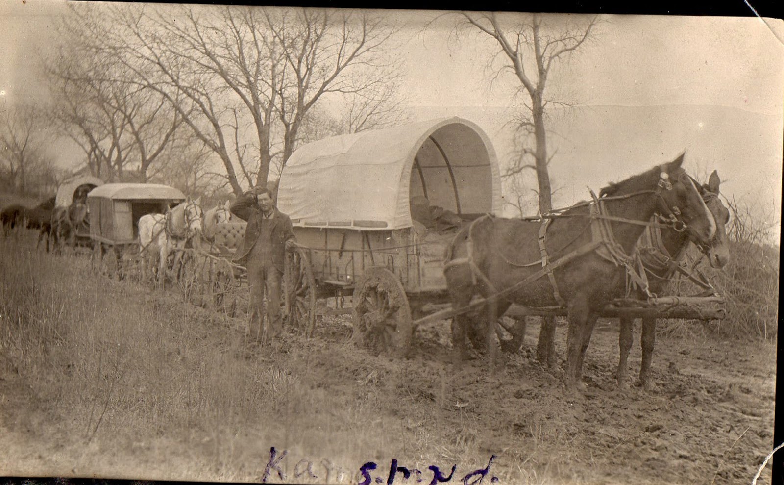 Leaves on the Raney Tree: Frank Whitman & Mary Smith Raney Part 2 ...