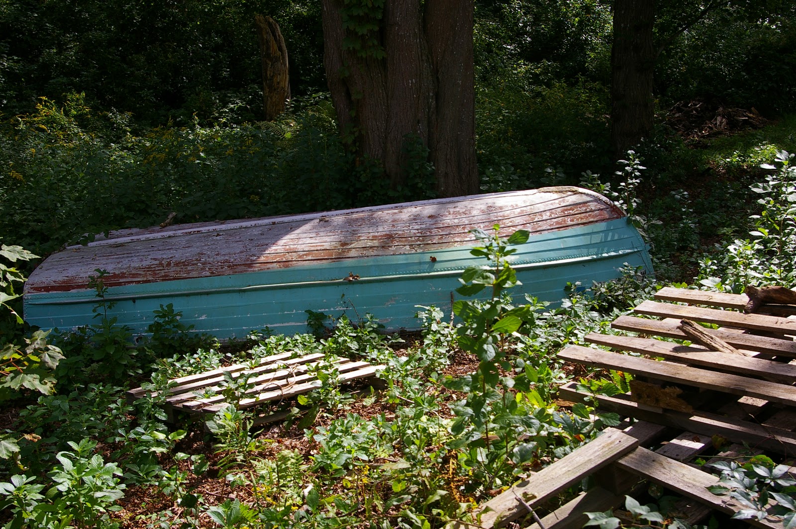 Tahoma Beadworks & Photography Sandwich Fish Hatchery