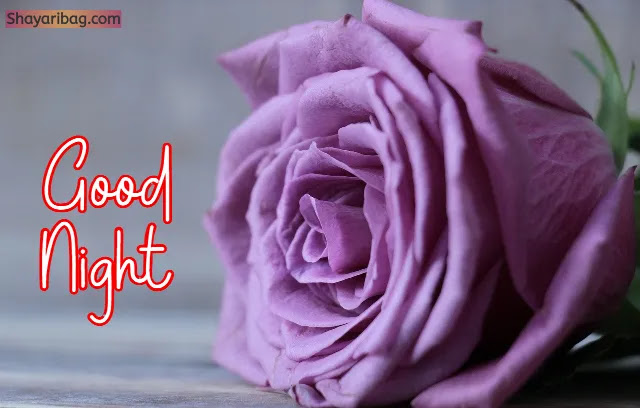 Good Night Images Good Night Images