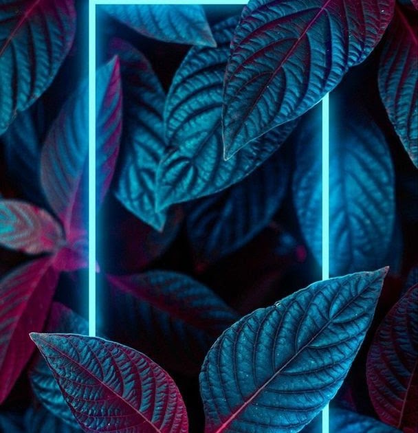 Best Home Screen Wallpapers