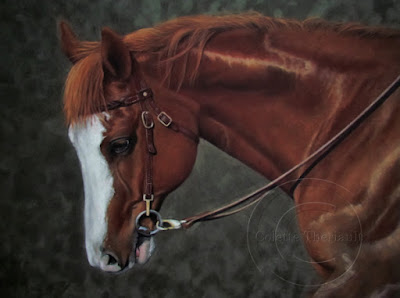 Appaloosa Portrait Progress