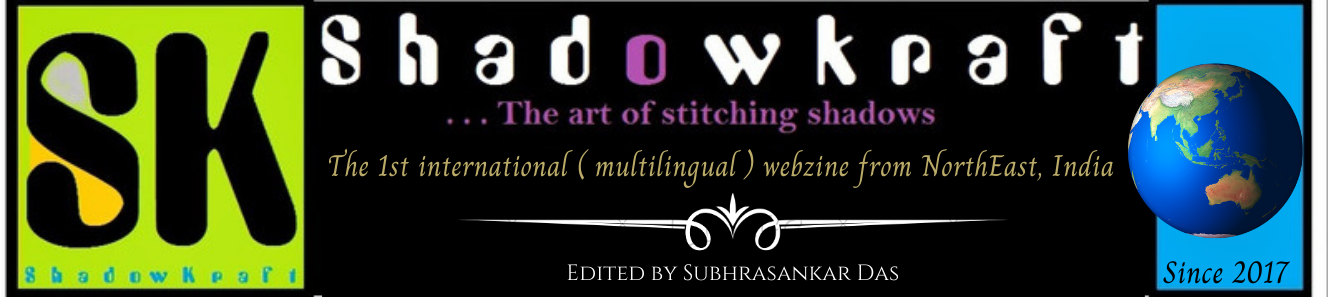 ShadowKraft....the art of stitching shadows