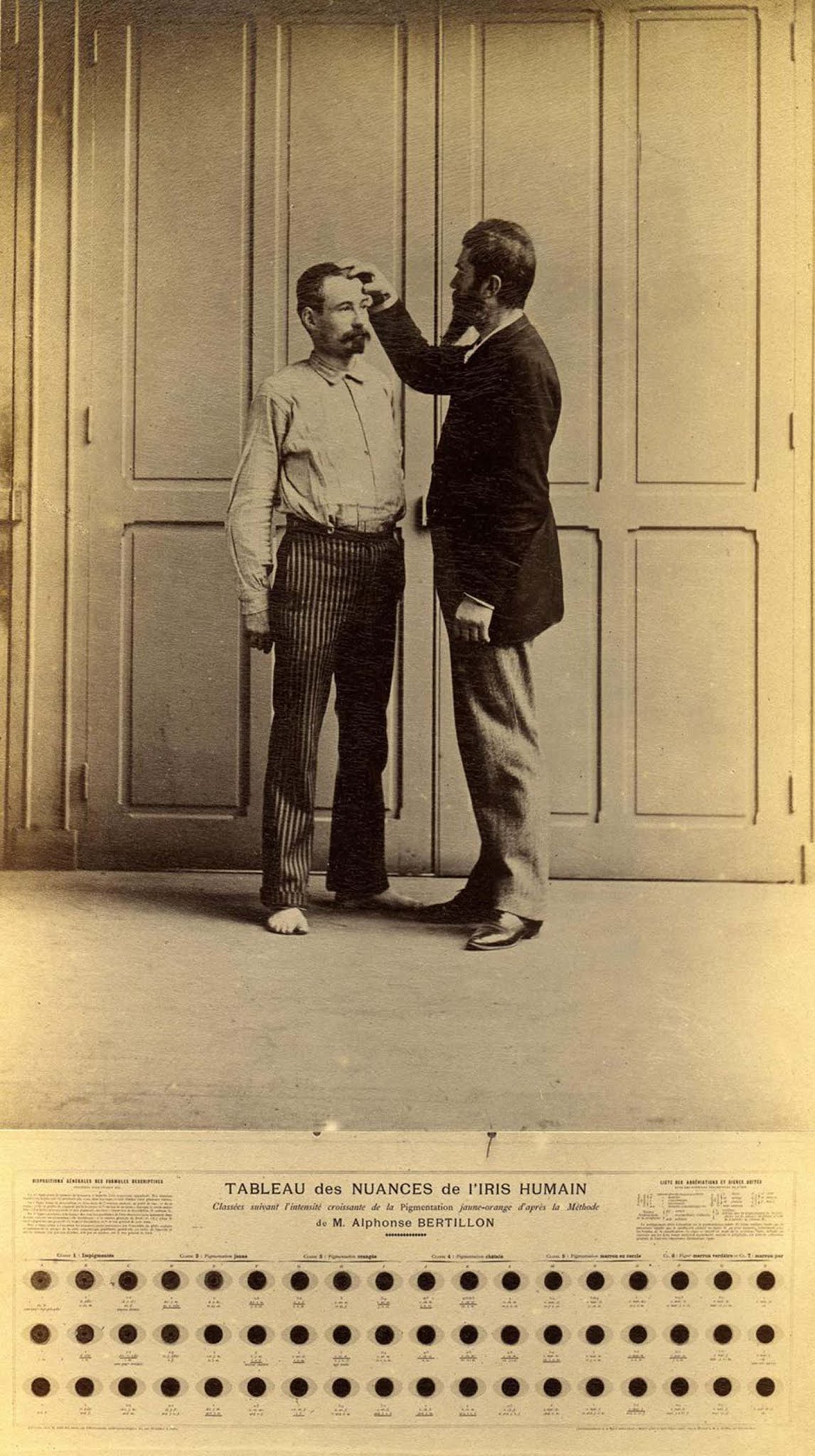The Bertillon system that cataloged criminals by their physical measurements  1894 - 88