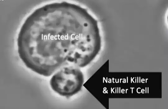 Coronavirus Update Coronavirus Update