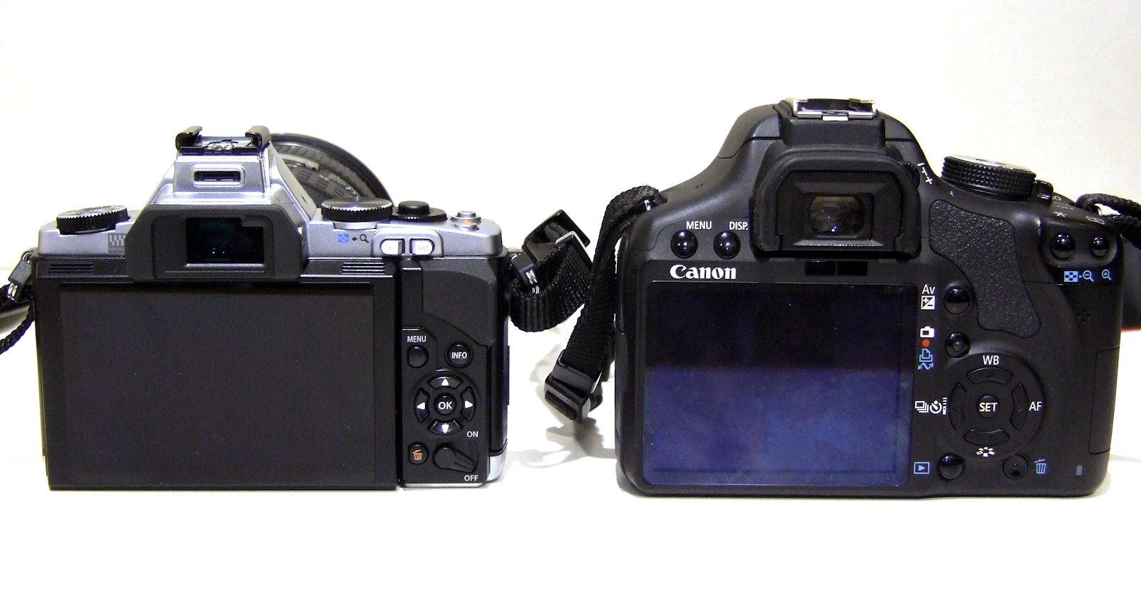 ShepFoto First Impressions Olympus OMD EM5 w/ 1260mm f/2.84.0 lens