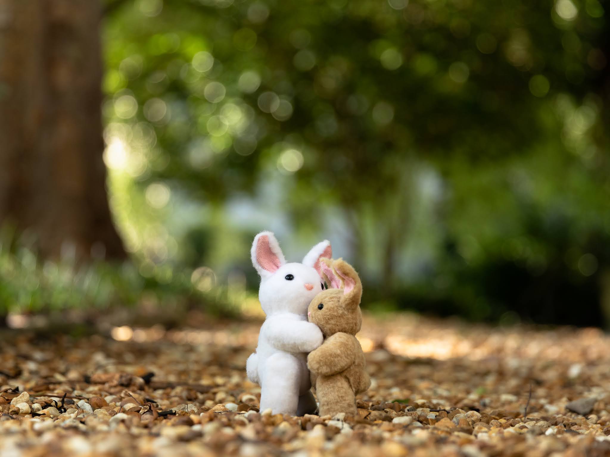 Sometimes All We Need is a Hug