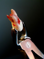 Mágico, sombrío, impenetrable Joyce Carol Oates