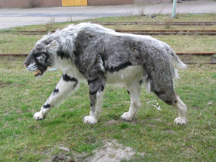 The Fur Side Favorite QuadSuits