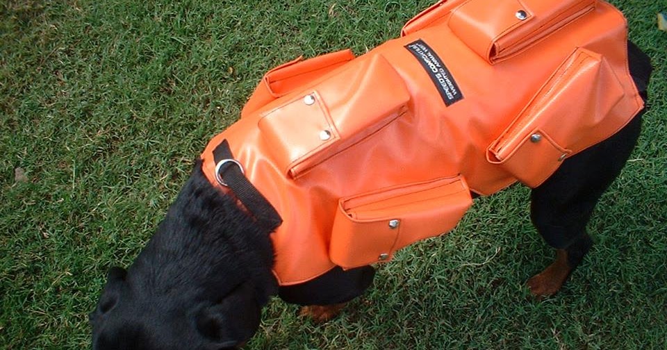 Dog Weighted Vest Exercise The Best For Your Dog Training