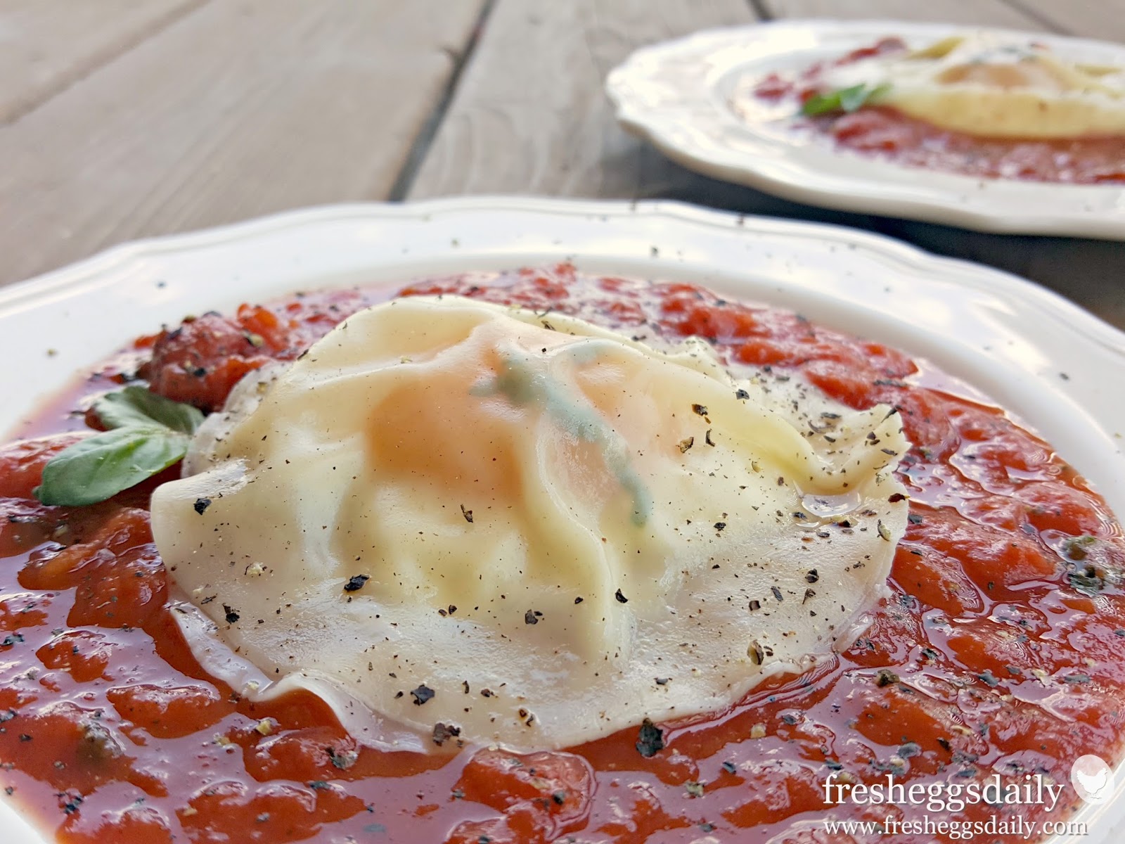 Egg Yolk Ravioli on a Bed of Basil Marinara Sauce Fresh Eggs Daily