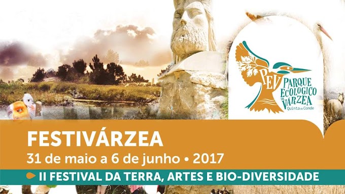 FESTIVÁRZEA II